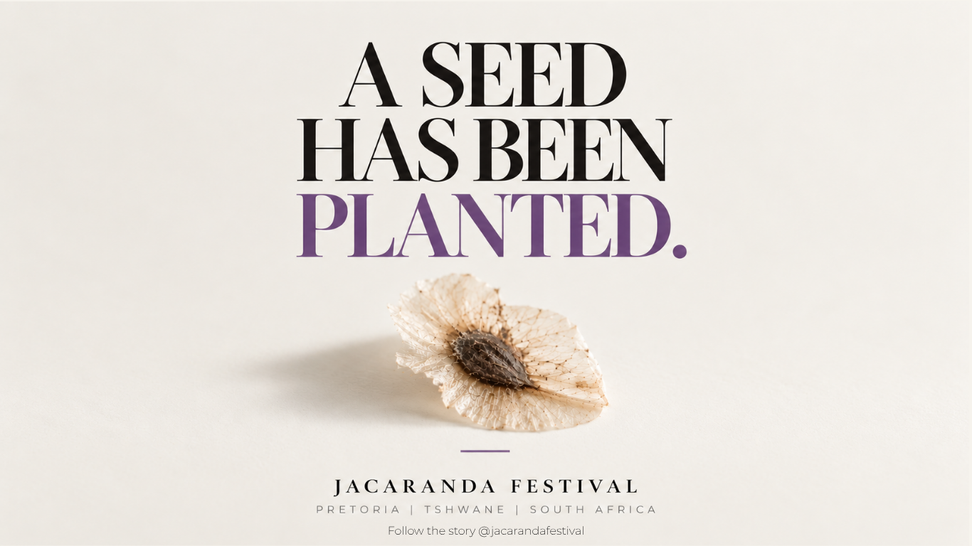 Jacaranda Festival. A seed has been planted. Pretoria, Tshwane, South Africa.